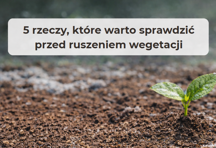 Badanie gleby przed sezonem – młoda roślina wyrastająca z żyznej gleby przygotowanej pod uprawę.